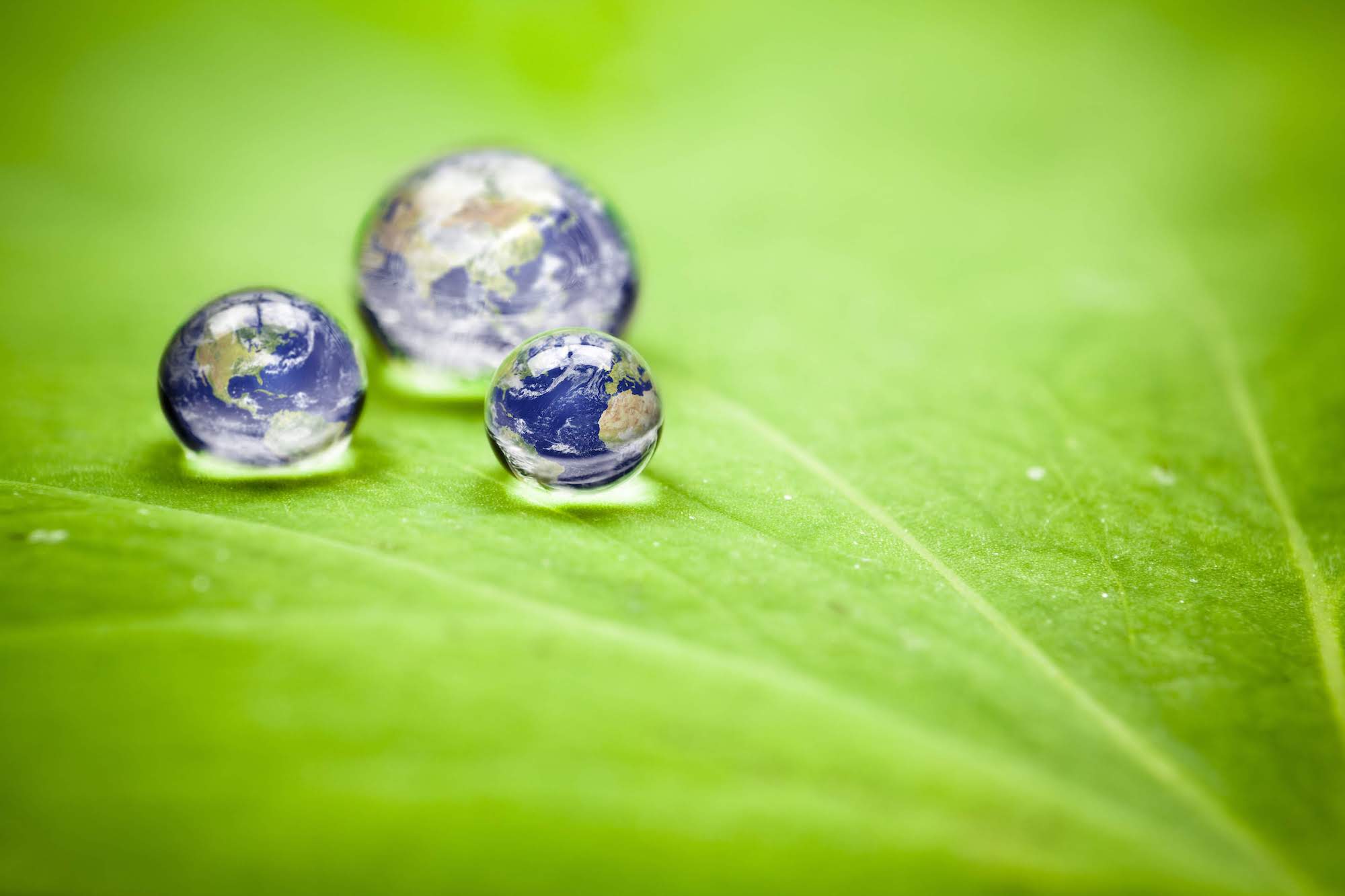earth droplets